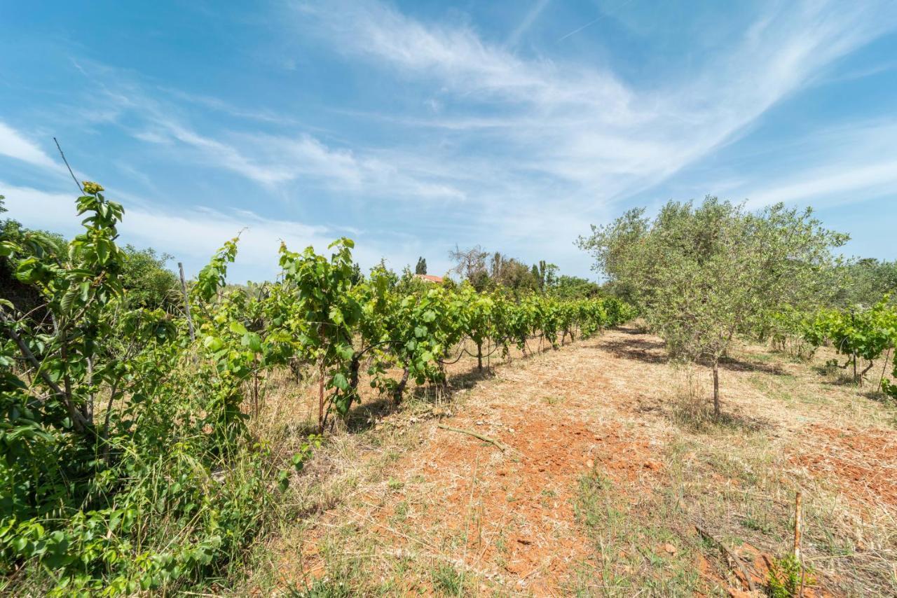 Villa Be Alghero Esterno foto